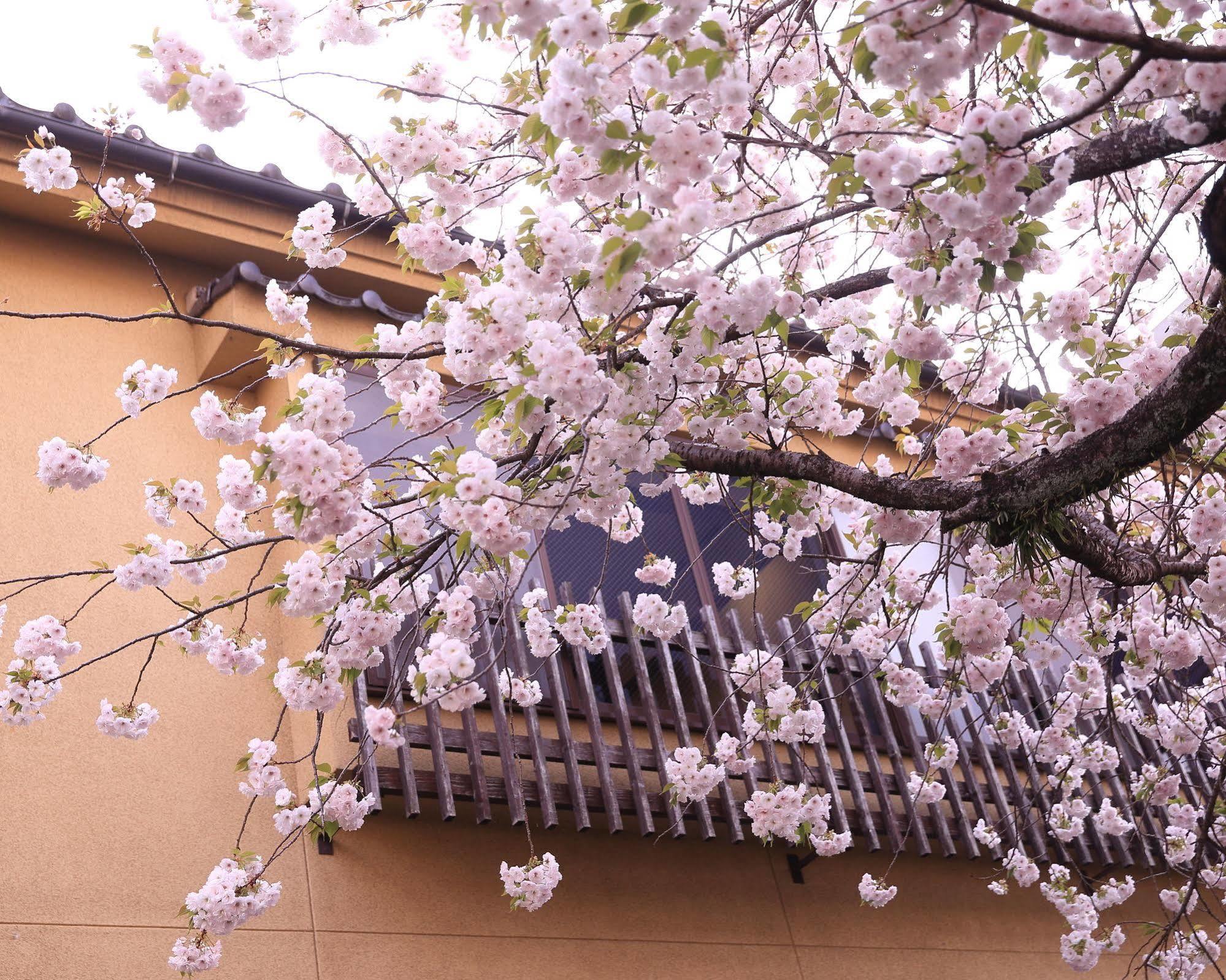 Tabi No Yado Satsuki Hotel Hita Exterior photo