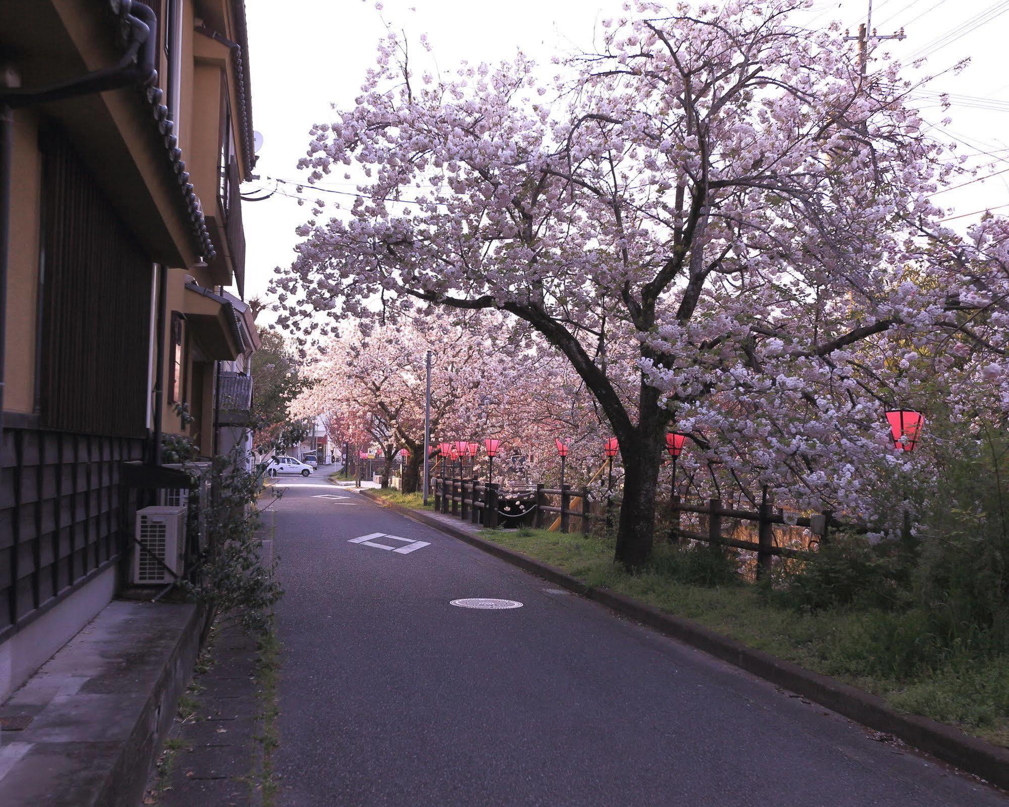 Tabi No Yado Satsuki Hotel Hita Exterior photo